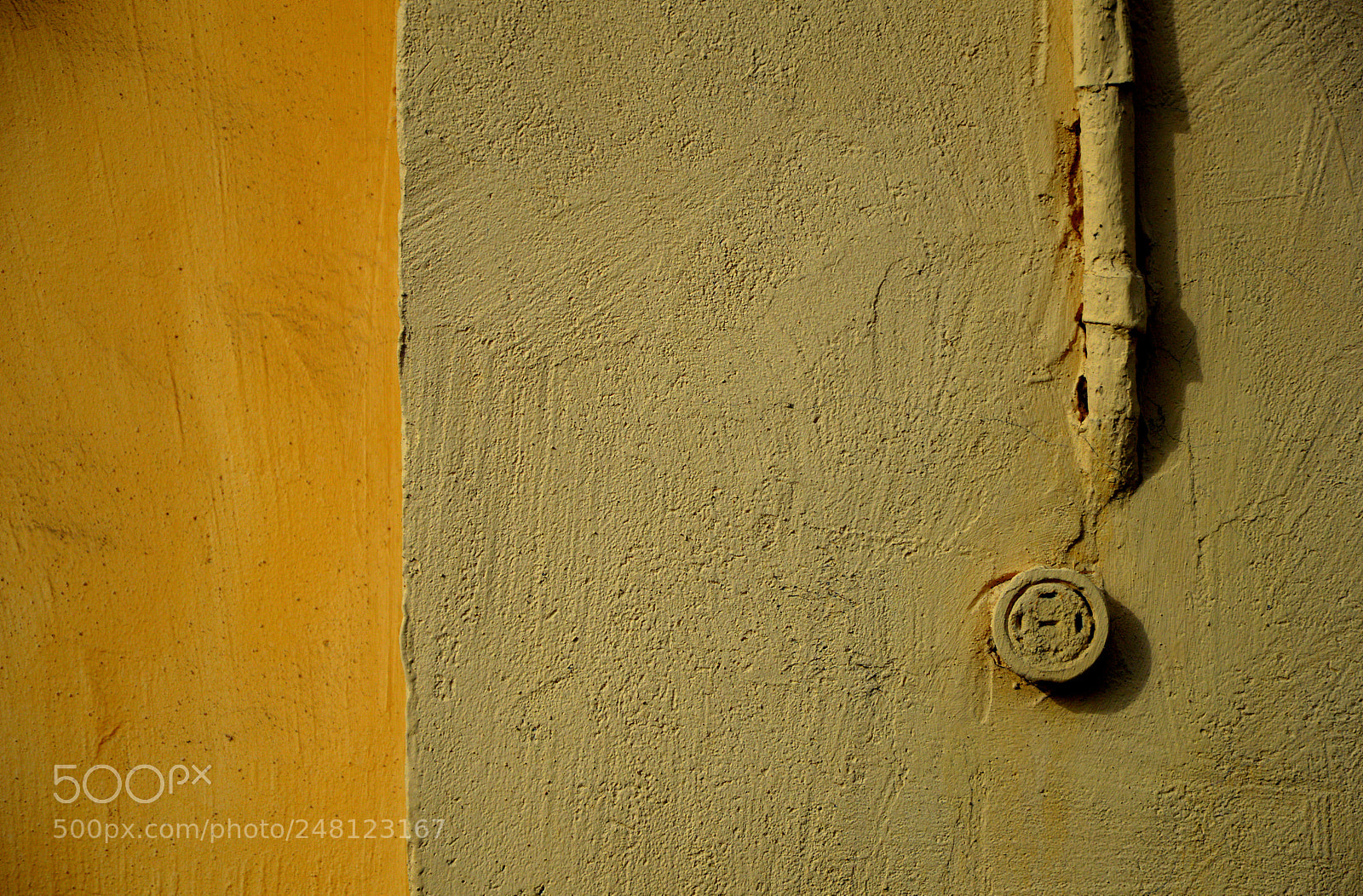 Nikon D3200 sample photo. фото photography