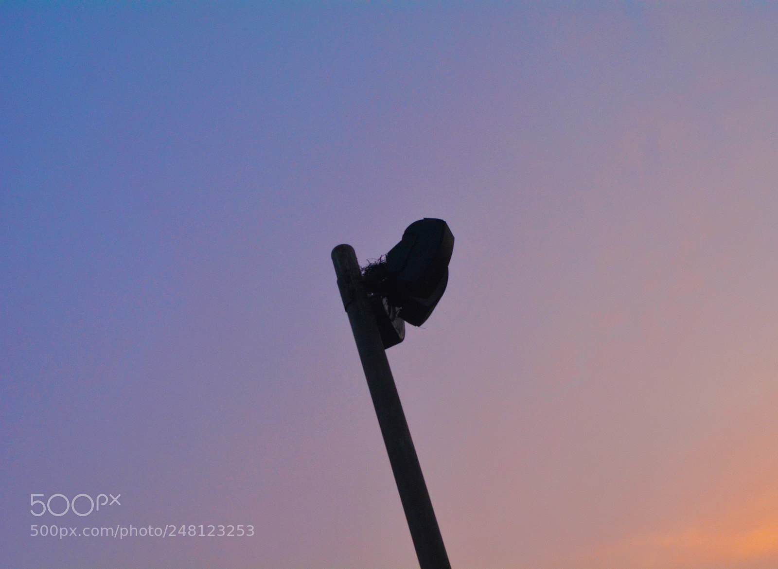 Nikon D5200 sample photo. Natural colors photography