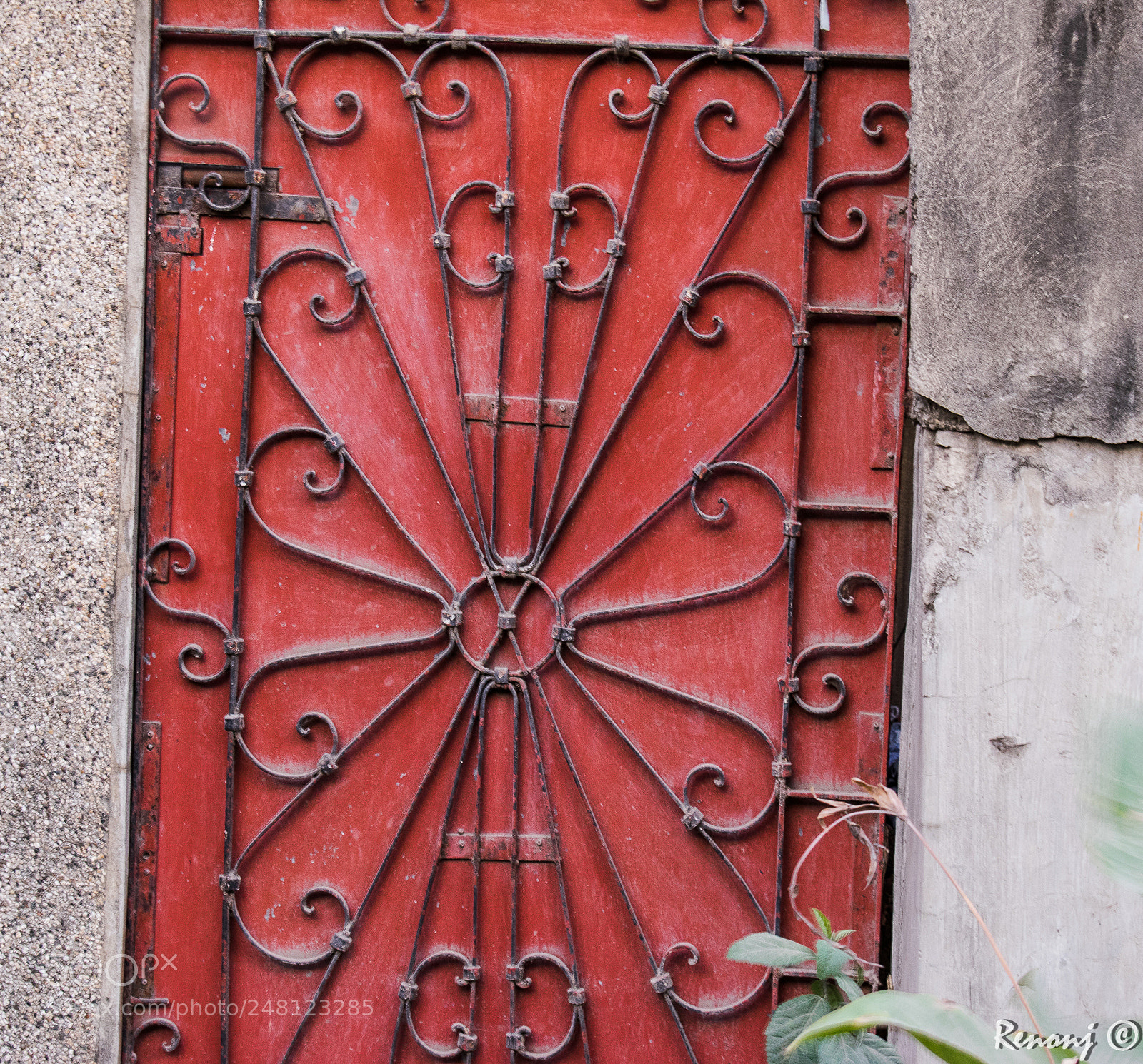 Nikon D5300 sample photo. L31 photography