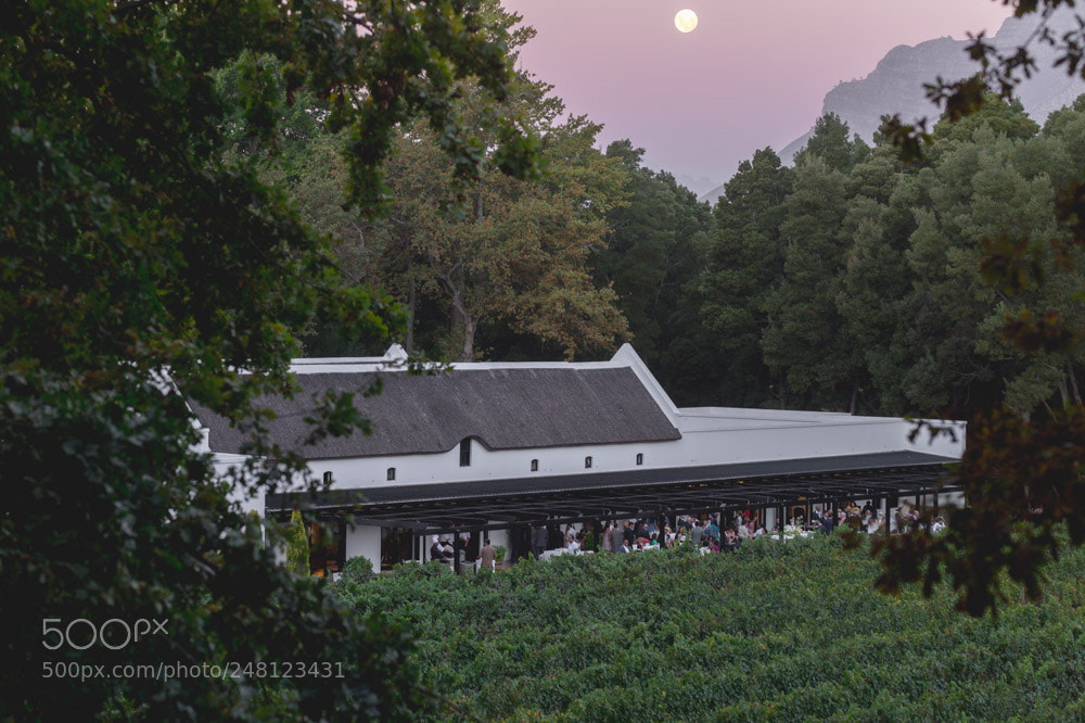 Nikon Df sample photo. Cape town wedding photographer photography