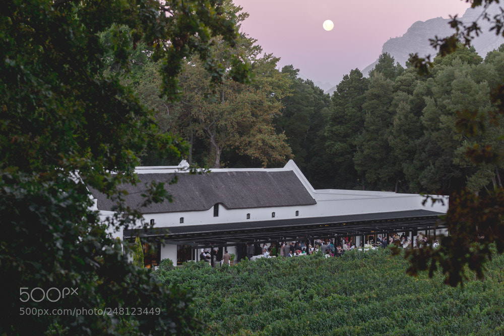 Nikon Df sample photo. Cape town wedding photographer photography
