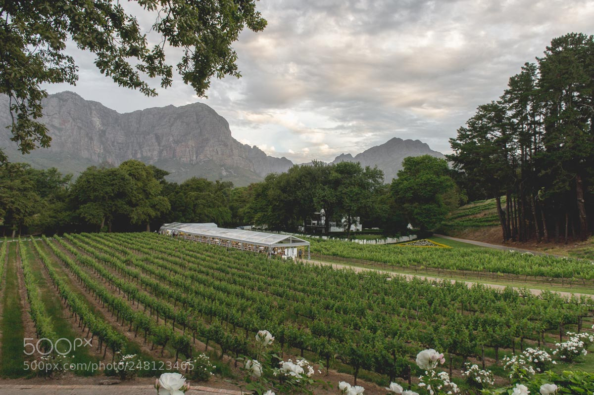 Nikon Df sample photo. Cape town wedding photographer photography