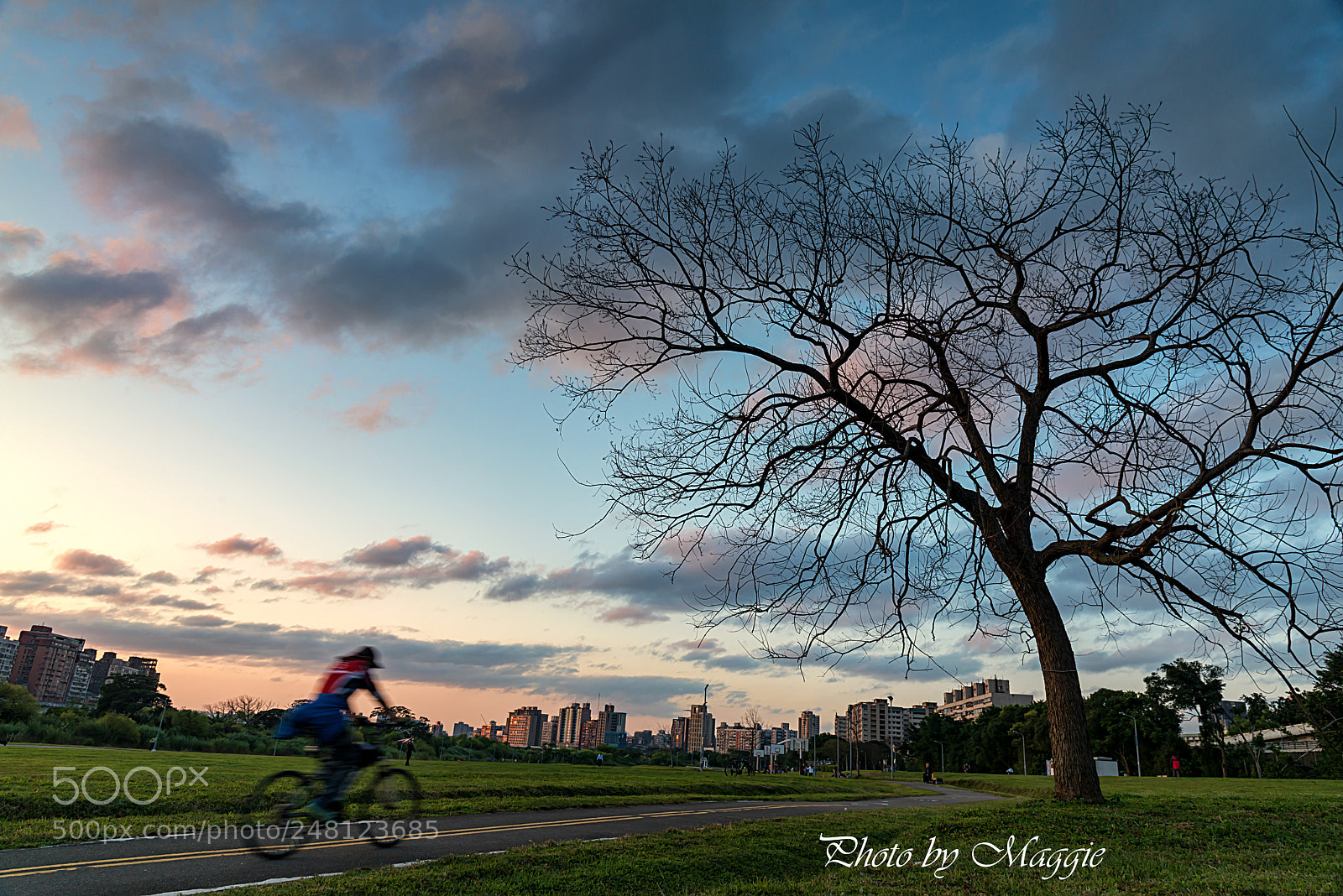 Nikon D800 sample photo. Sunset photography