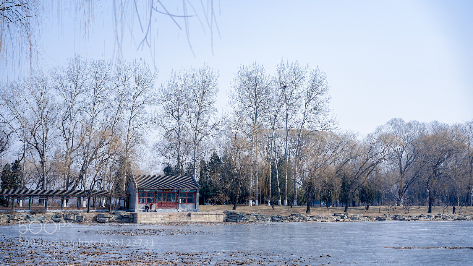 Sony a7 II sample photo. Summer palace in winter photography