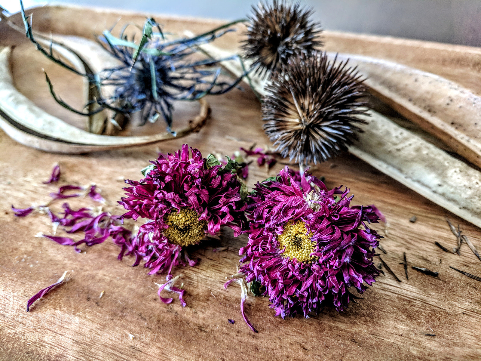 Google Pixel XL sample photo. Bits and pieces photography