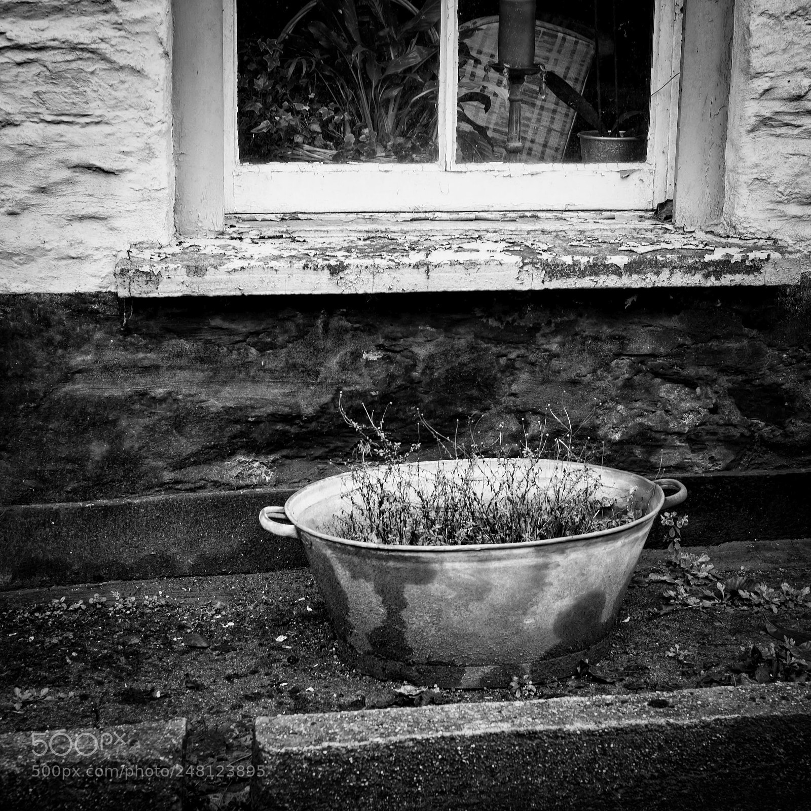 Leica M (Typ 240) sample photo. Somethings missing photography