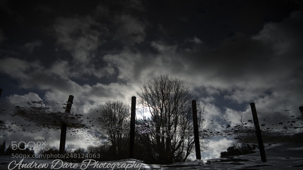 Nikon D810 sample photo. Reflections ii photography