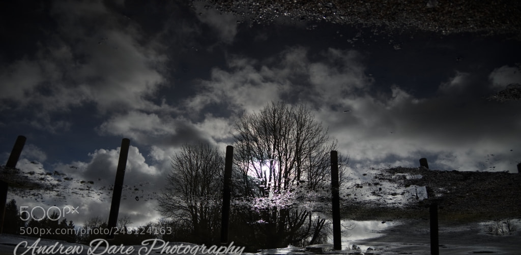 Nikon D810 sample photo. Reflections iii photography