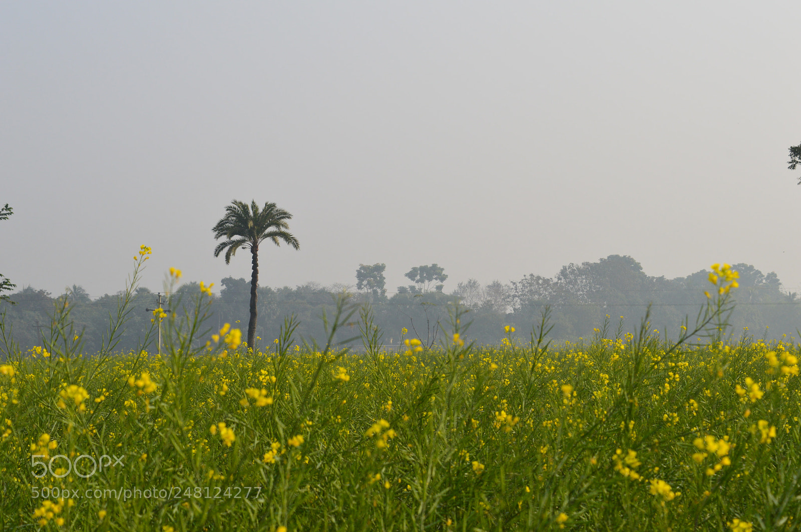 Nikon D3200 sample photo. Untitled photography