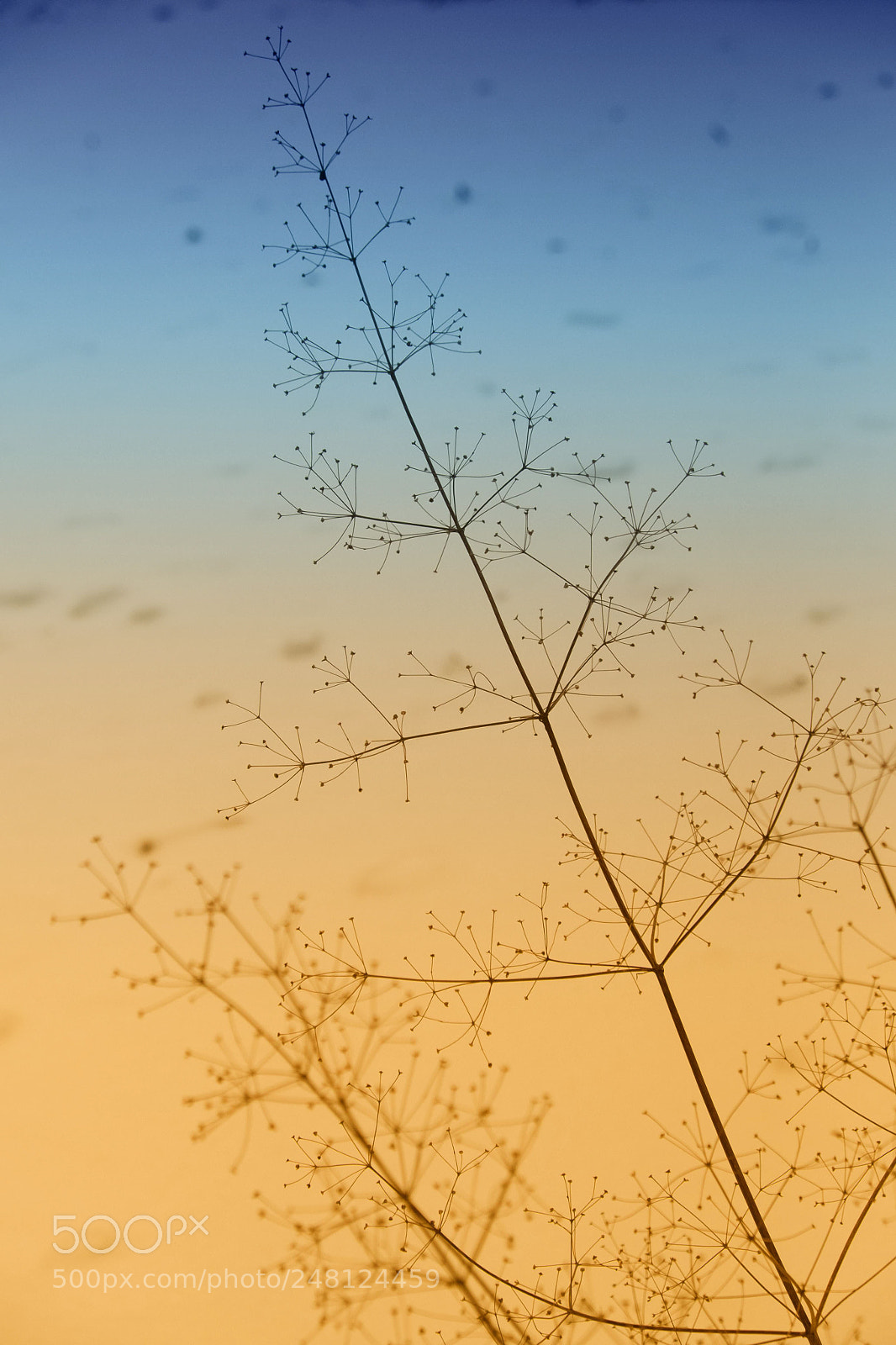 Fujifilm X-T1 sample photo. Early in the morning photography