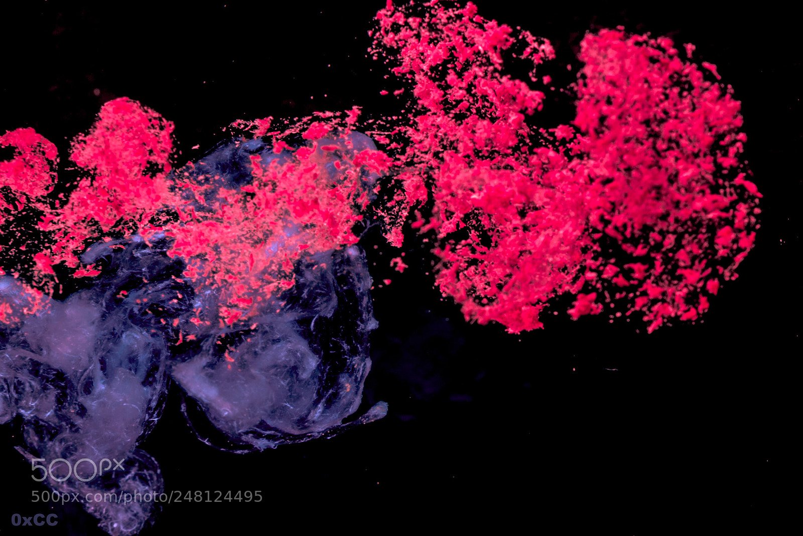 Canon EOS 7D Mark II sample photo. Color explosion photography