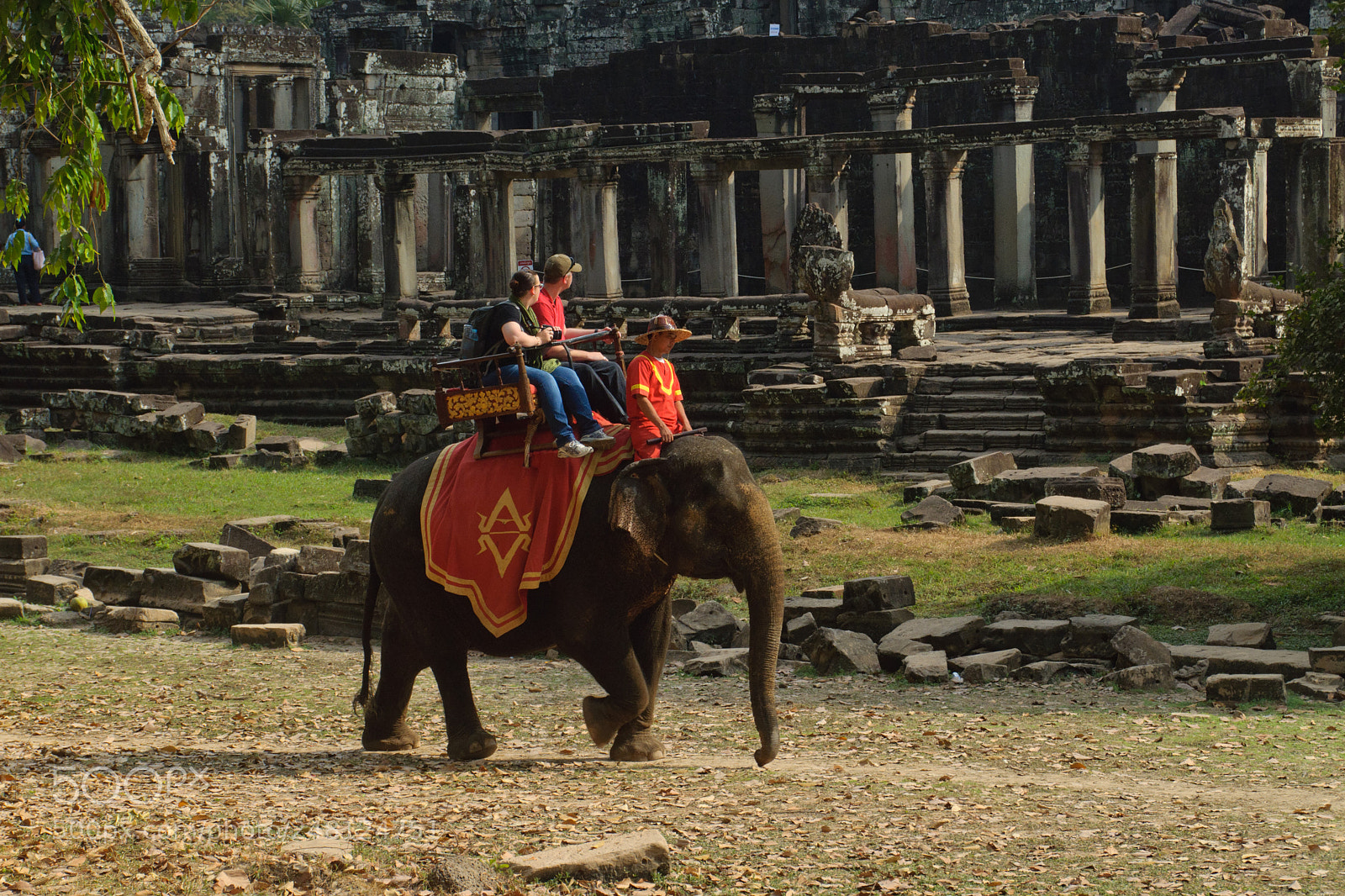 Nikon D5000 sample photo. Elephant and ruins photography
