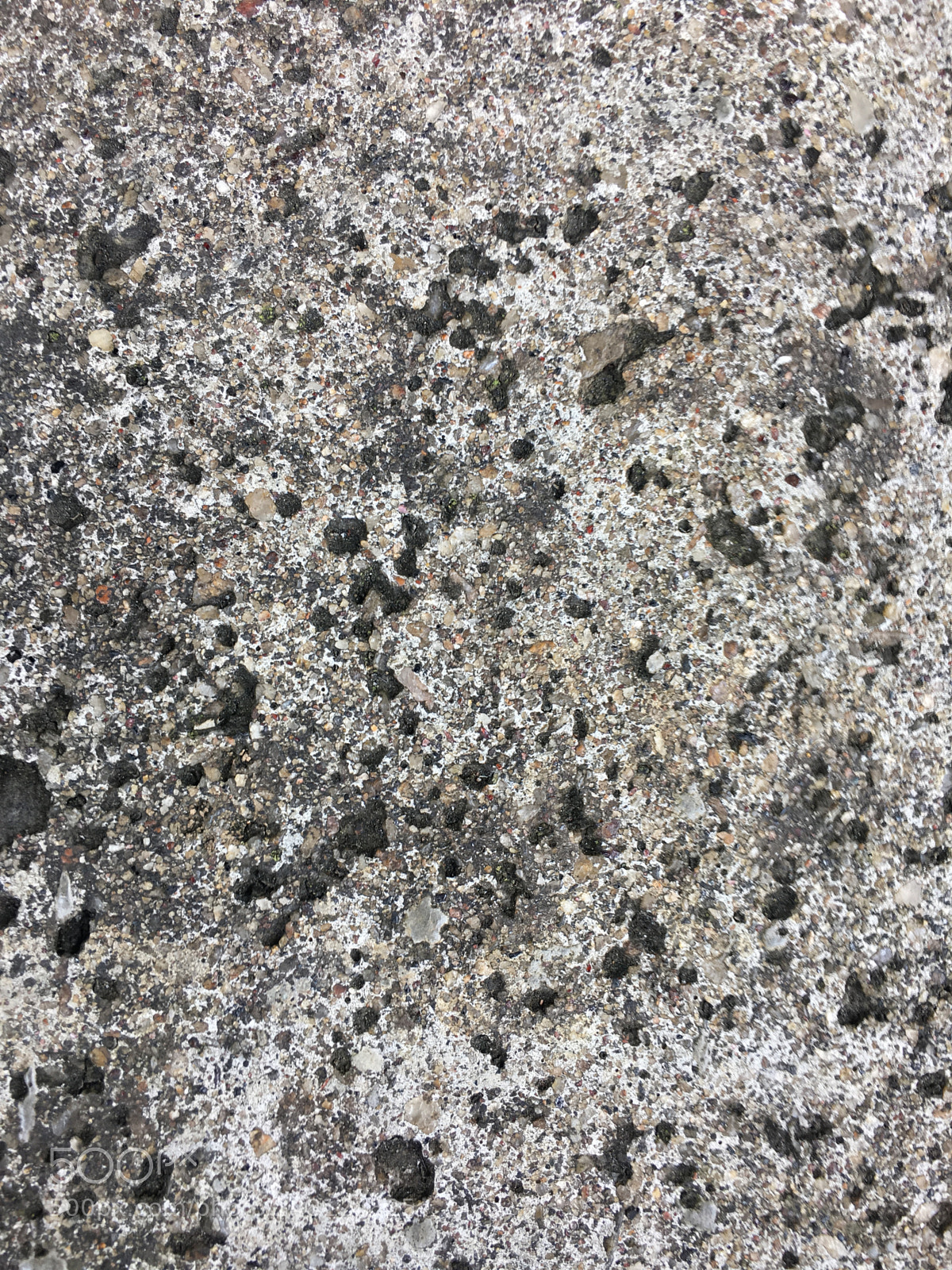 Apple iPhone 6s Plus sample photo. Untitled photography