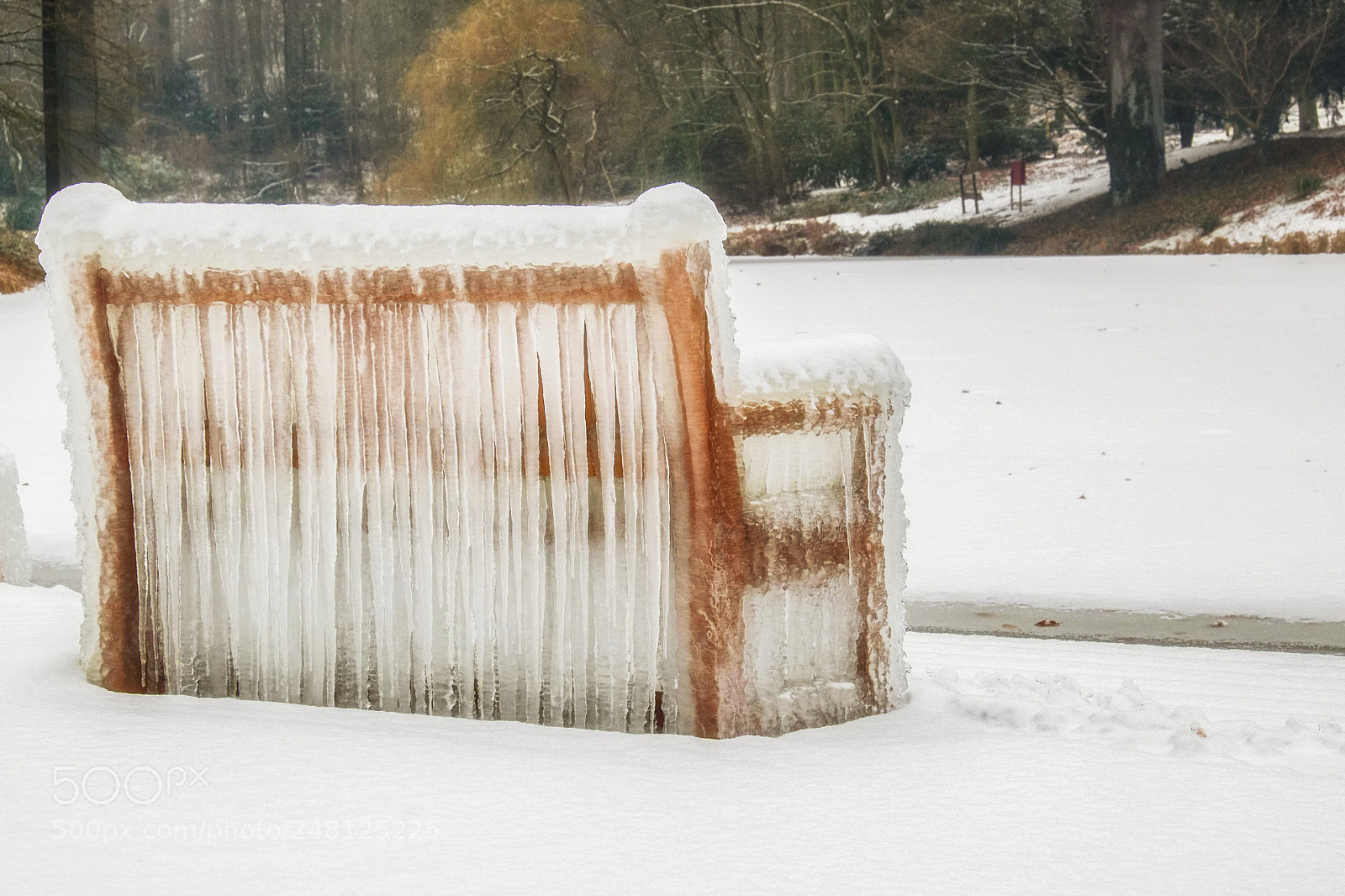 Fujifilm X-T1 sample photo. The bench photography