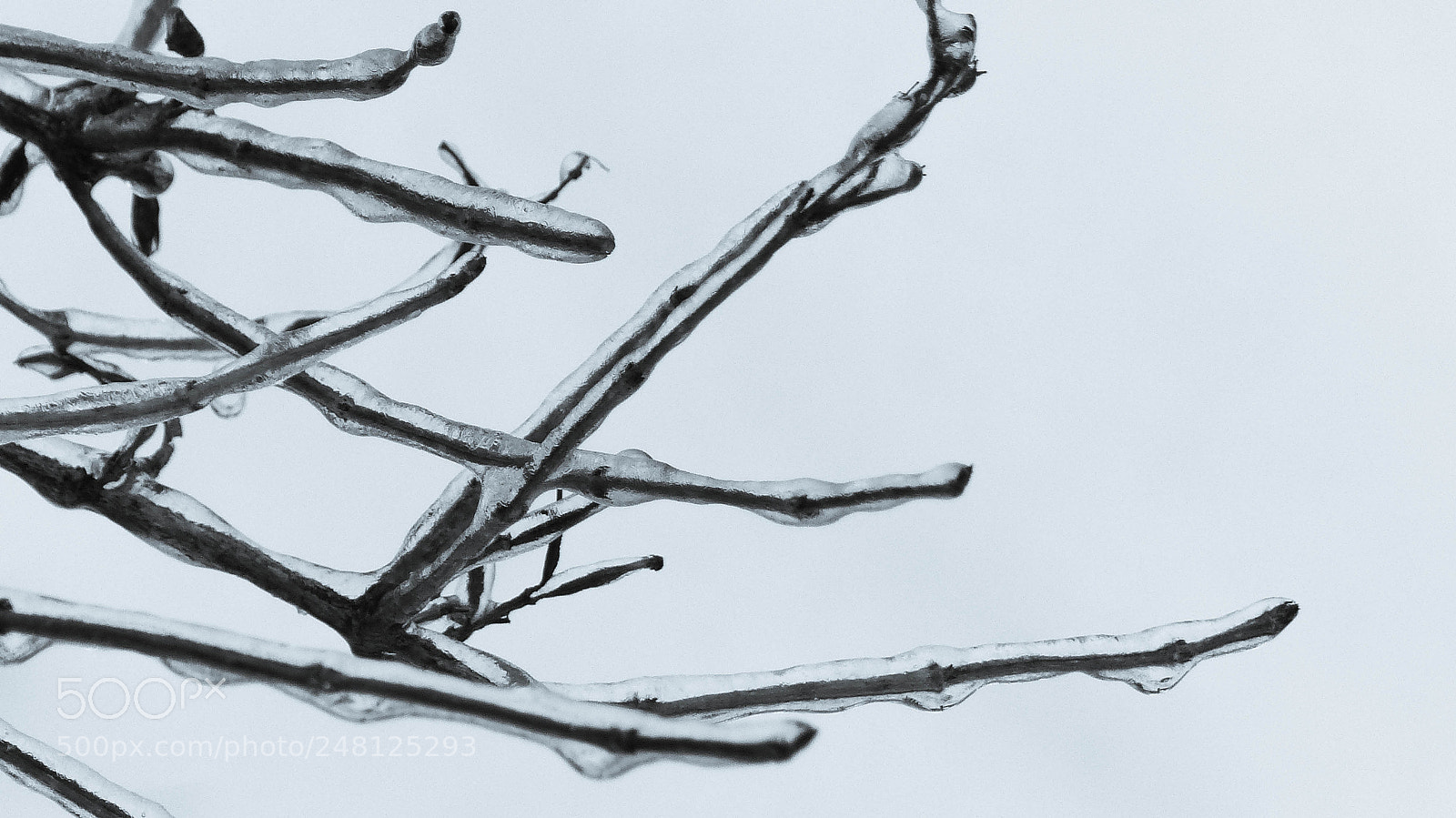 Panasonic Lumix DMC-FZ200 sample photo. Ice storm photography