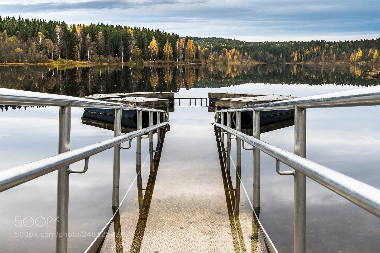 Nikon D850 sample photo. Autumn at songsvann photography
