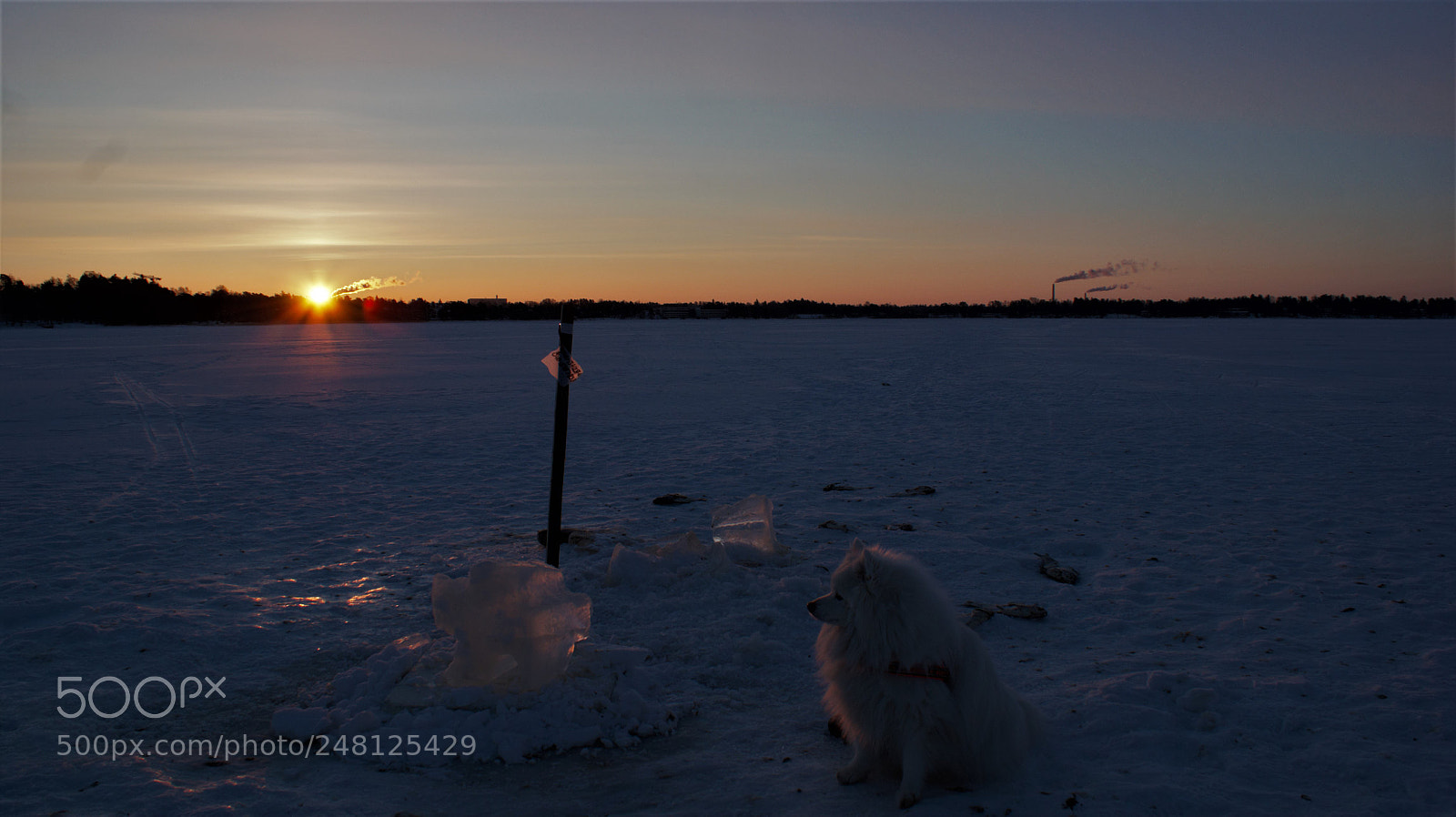 Sony Alpha DSLR-A350 sample photo. Chill out ! photography
