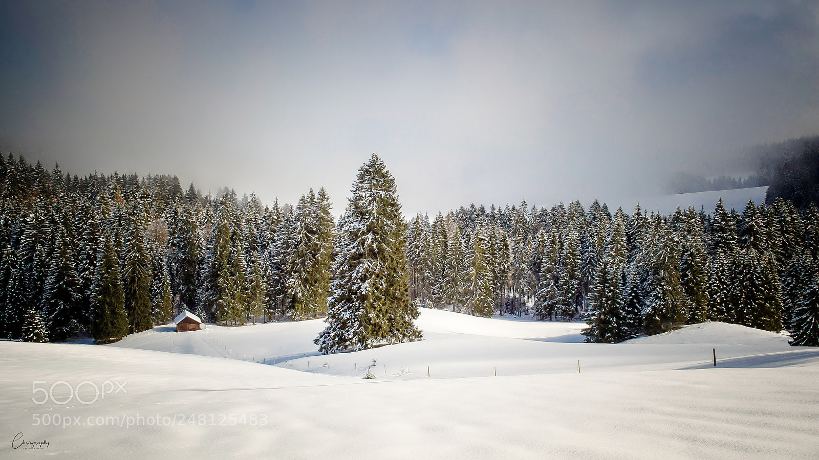 Nikon D5000 sample photo. Winterland bernau photography