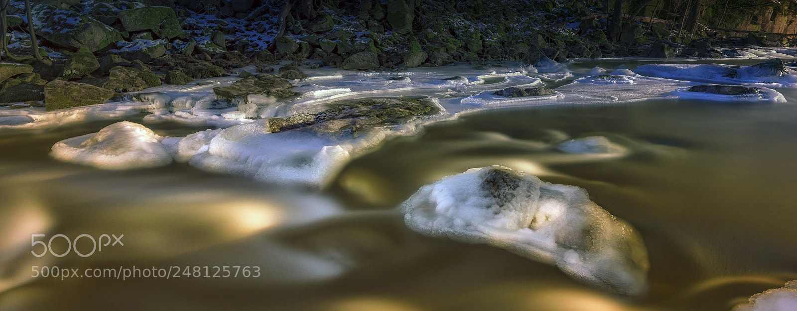 Nikon D810 sample photo. Icy meeting at the photography