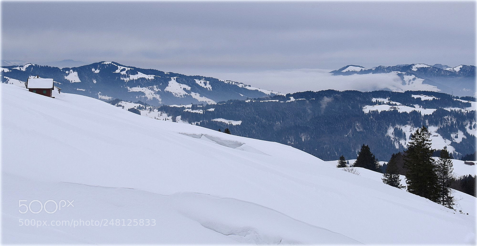 Nikon D810 sample photo. "peacefull-view" photography