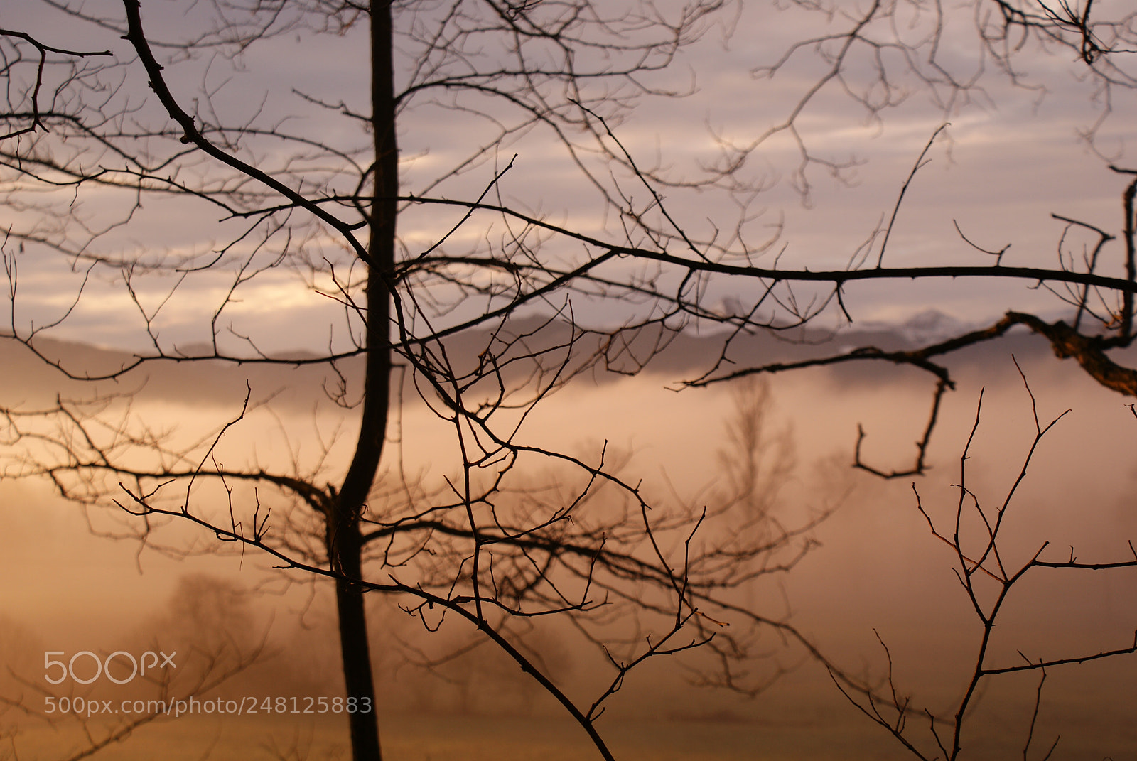 Sony DT 18-70mm F3.5-5.6 sample photo. Untitled photography