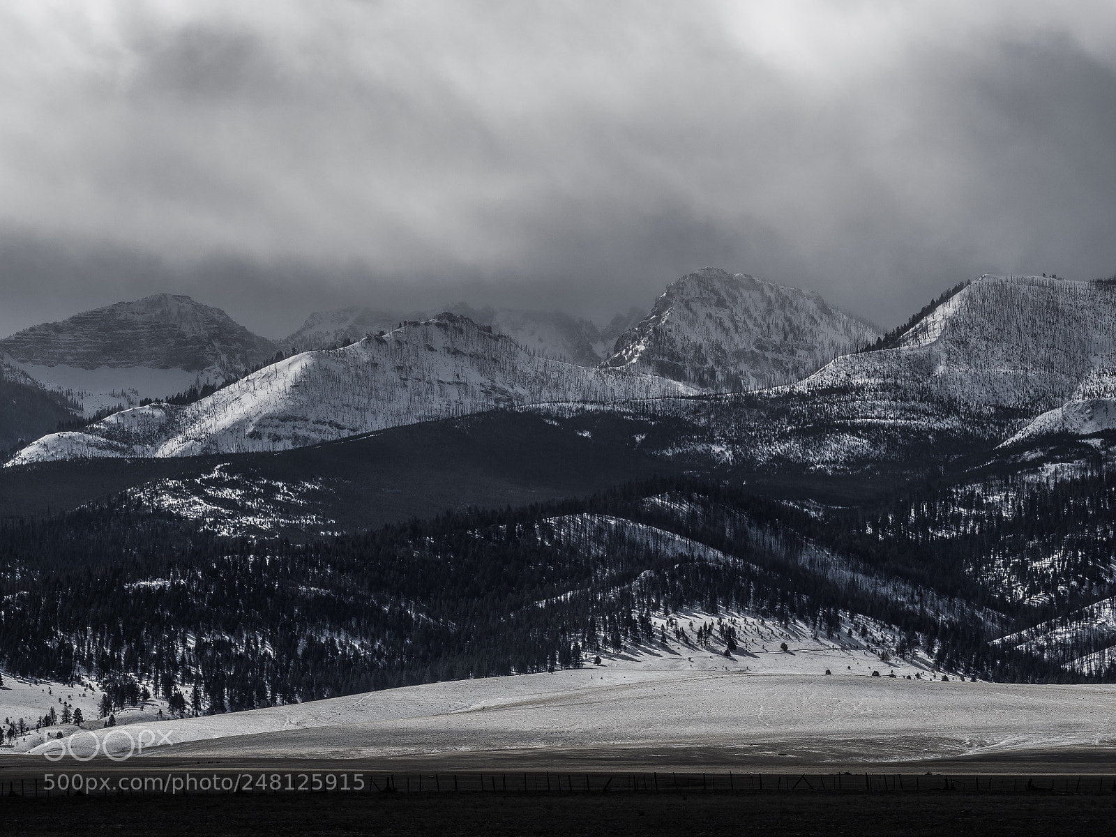 Olympus OM-D E-M5 II sample photo. Ready for the storm photography