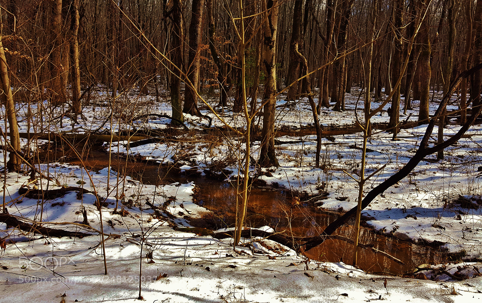 Samsung Galaxy S6 sample photo. Patuxent winter forest scenery 2018 photography