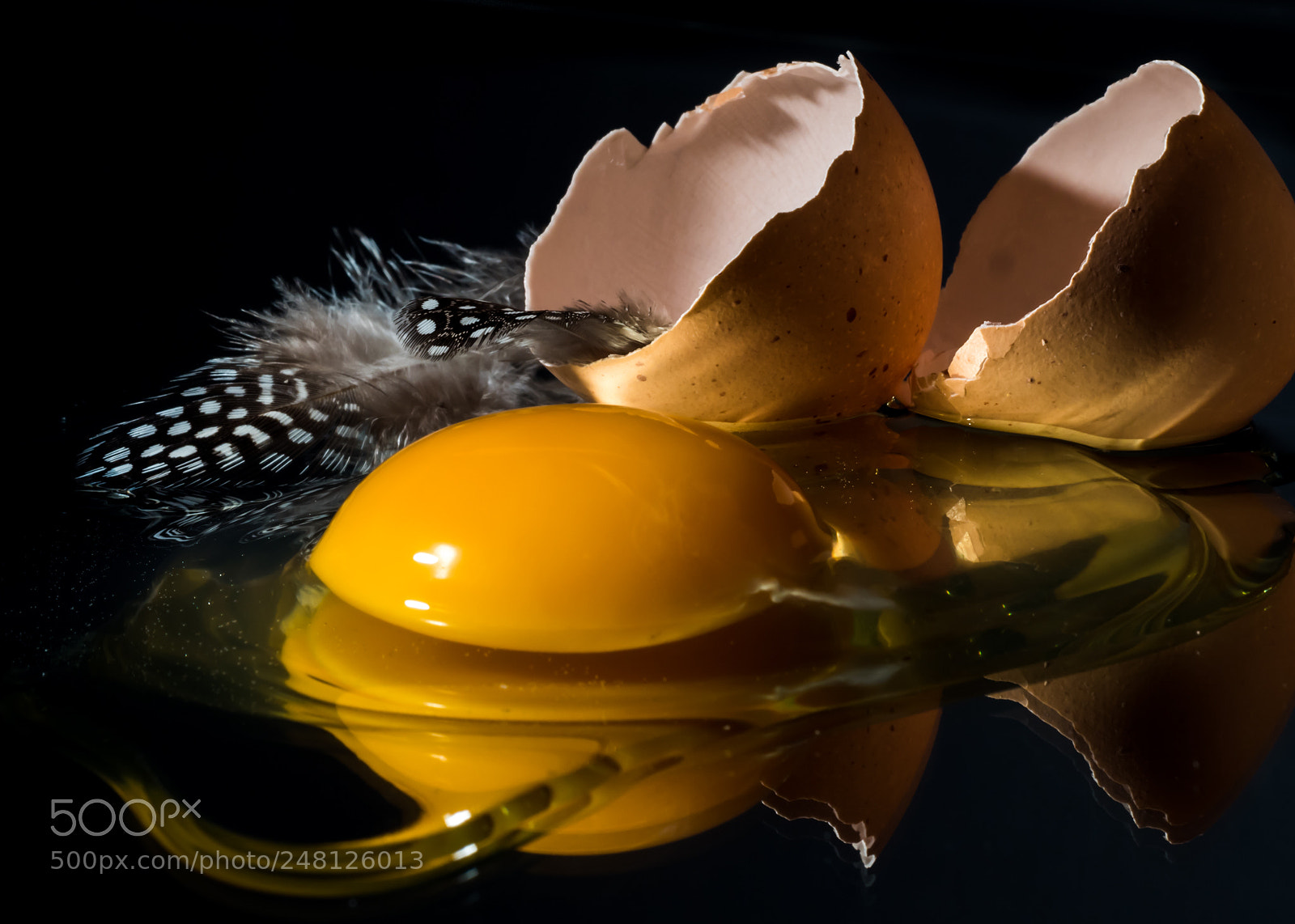 Olympus OM-D E-M5 II sample photo. Fresh egg 2 photography