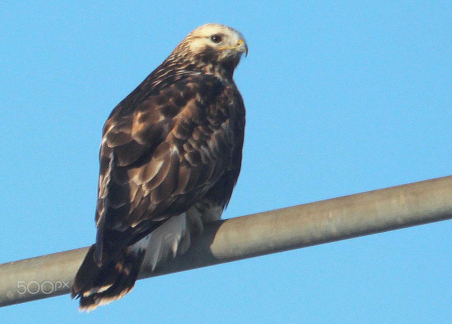 Canon EOS 700D (EOS Rebel T5i / EOS Kiss X7i) sample photo. Saturday afternoon,,, photography
