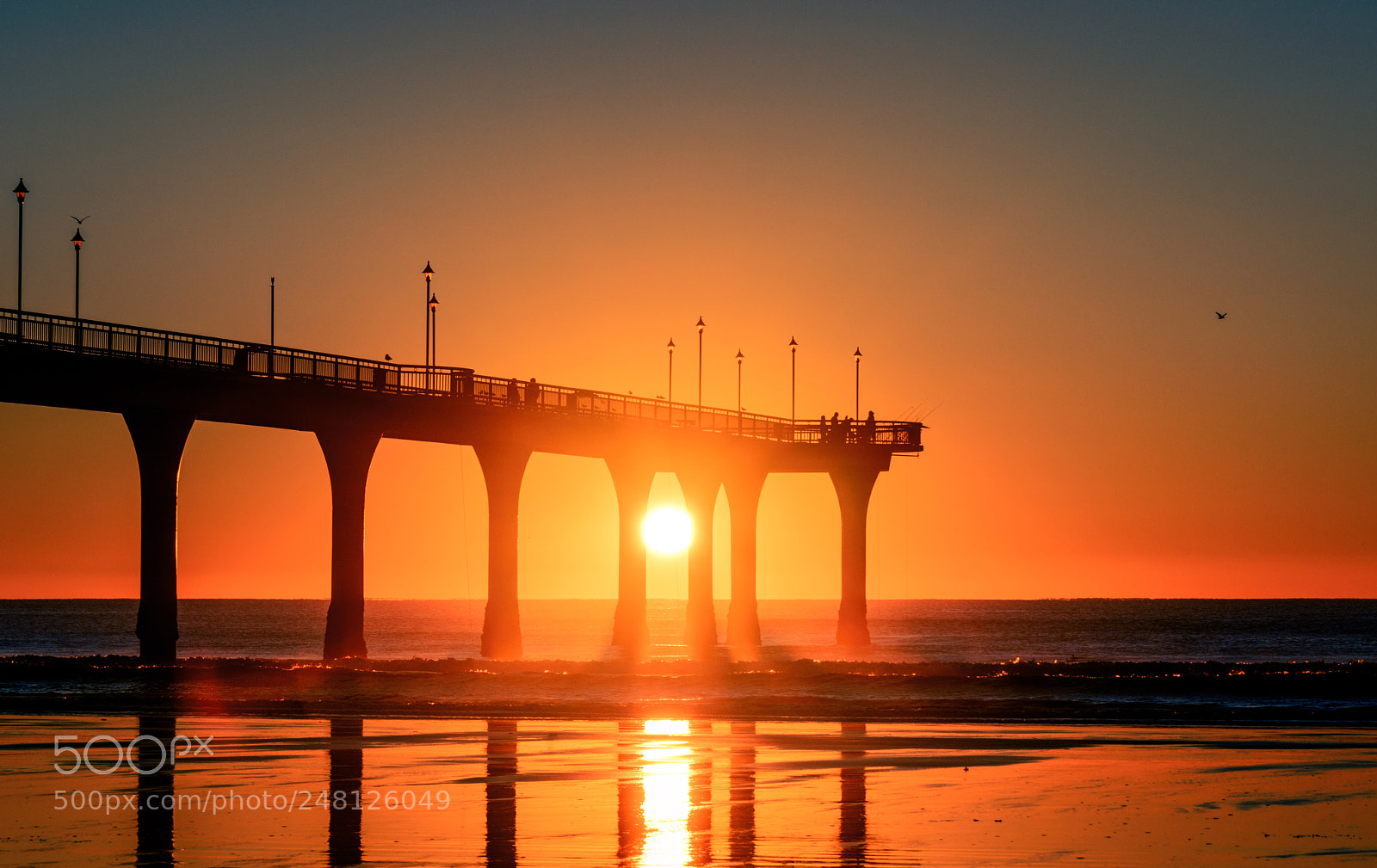 Nikon D800 sample photo. A real pier photography