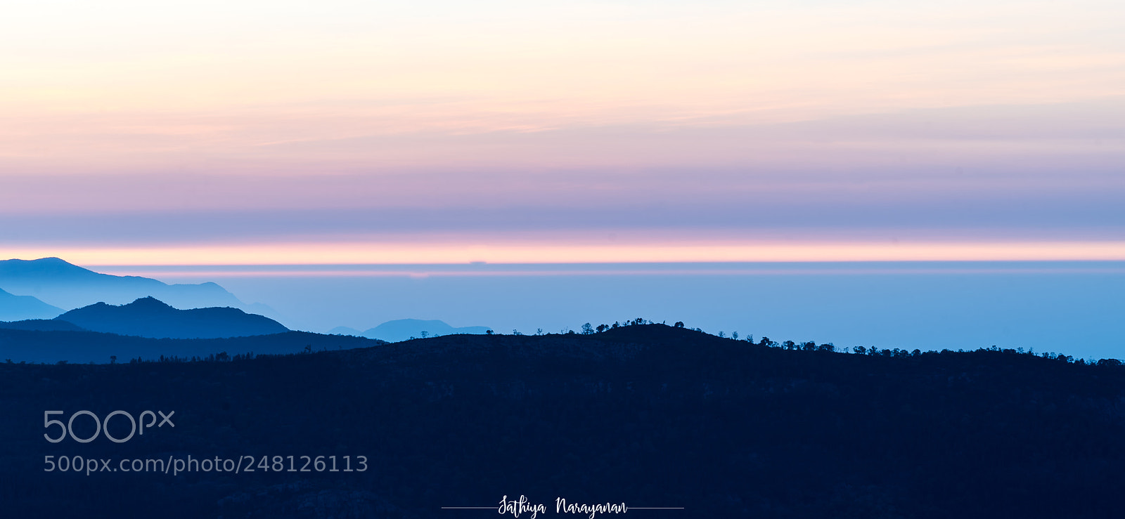 Nikon D810 sample photo. Natural fine art in photography