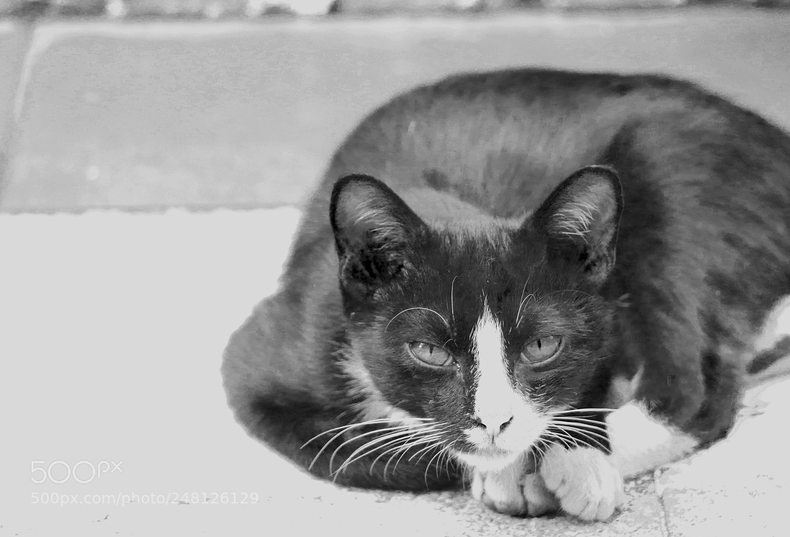 Canon EOS 80D sample photo. Untitled photography