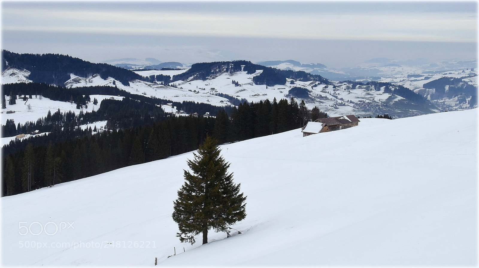 Nikon D810 sample photo. "over the land-scape" photography