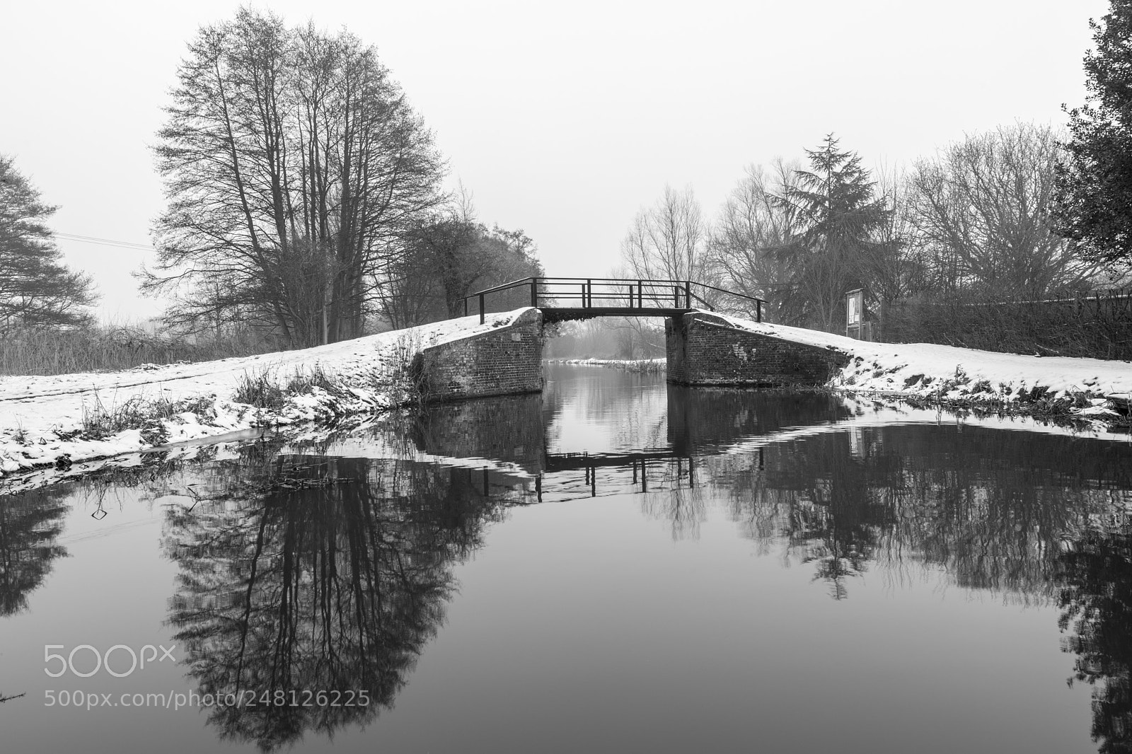 Nikon D850 sample photo. Watery reflections photography
