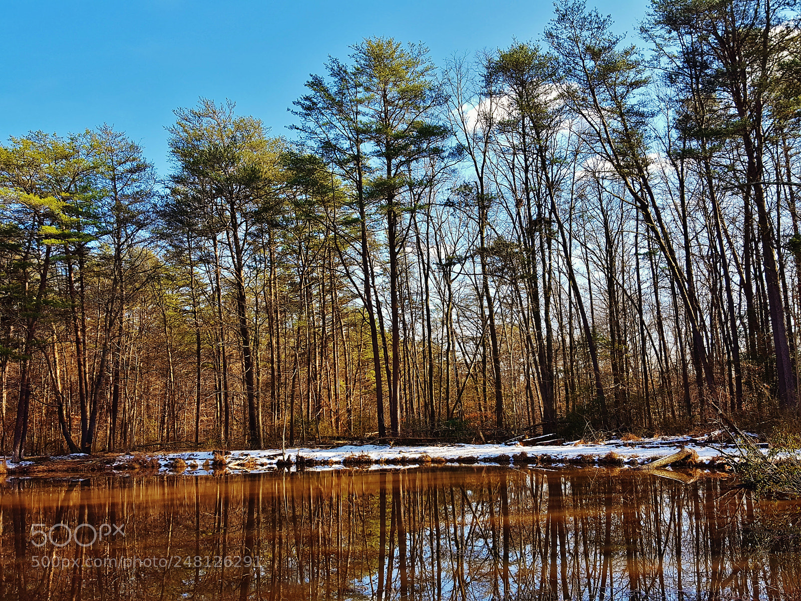 Samsung Galaxy S6 sample photo. Winter at rieve's pond 2018 photography