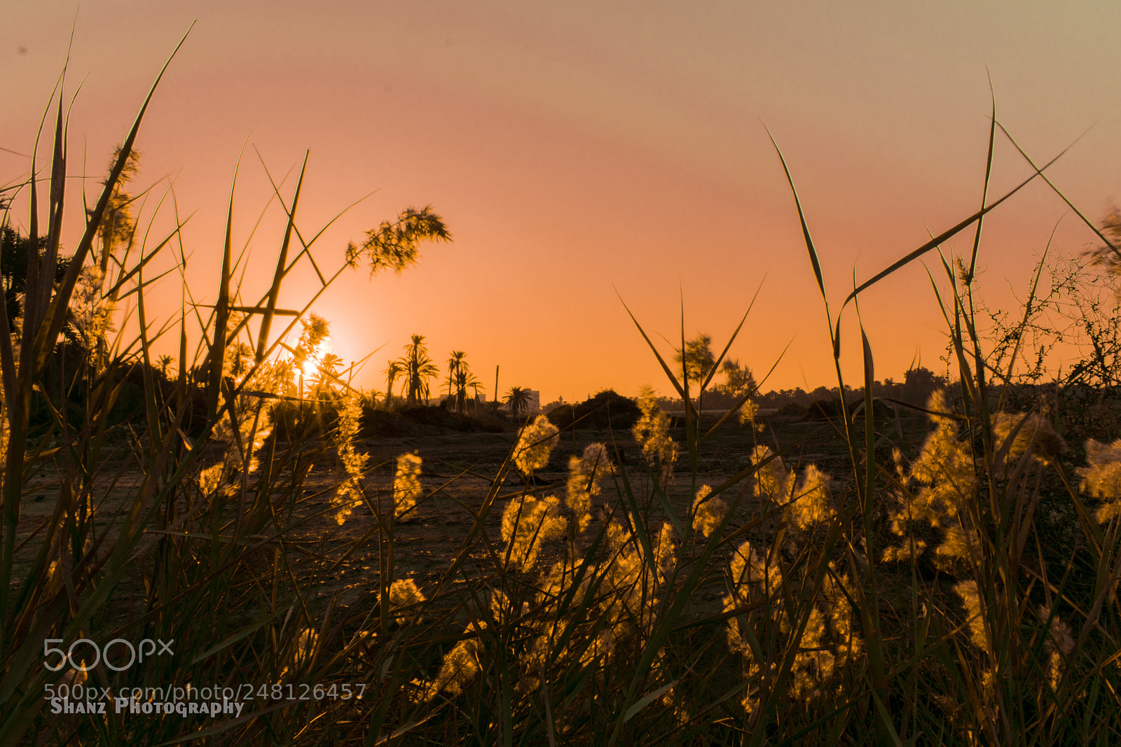 Nikon D5300 sample photo. Sunrise view at a photography