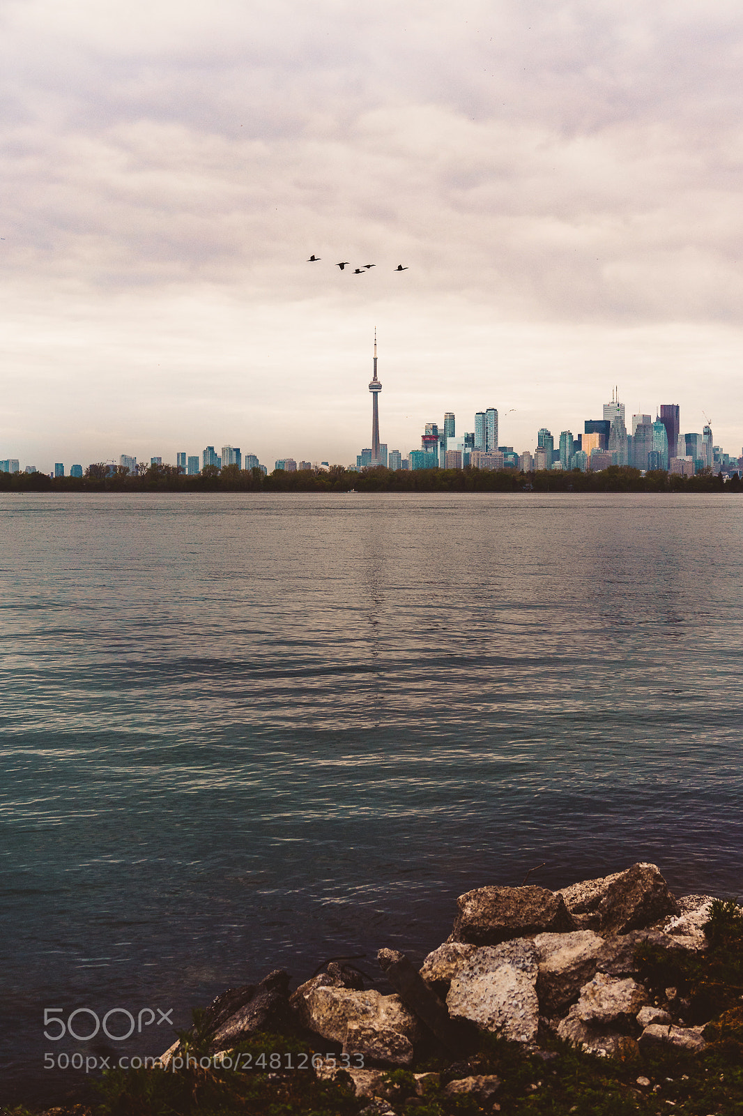 Sony a7 II sample photo. High five from the photography