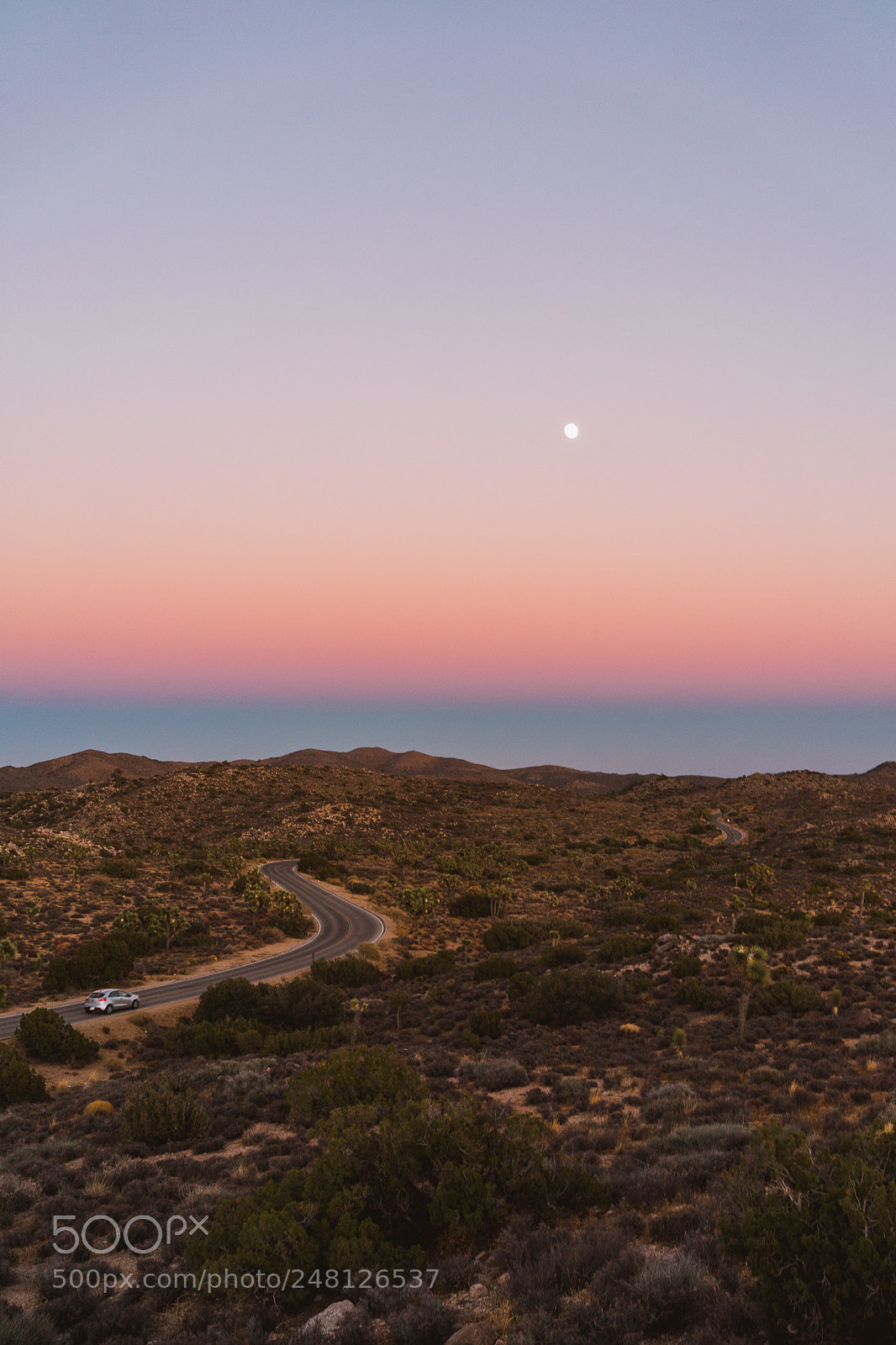 Sony a7 II sample photo. Moonlit drive in joshua photography