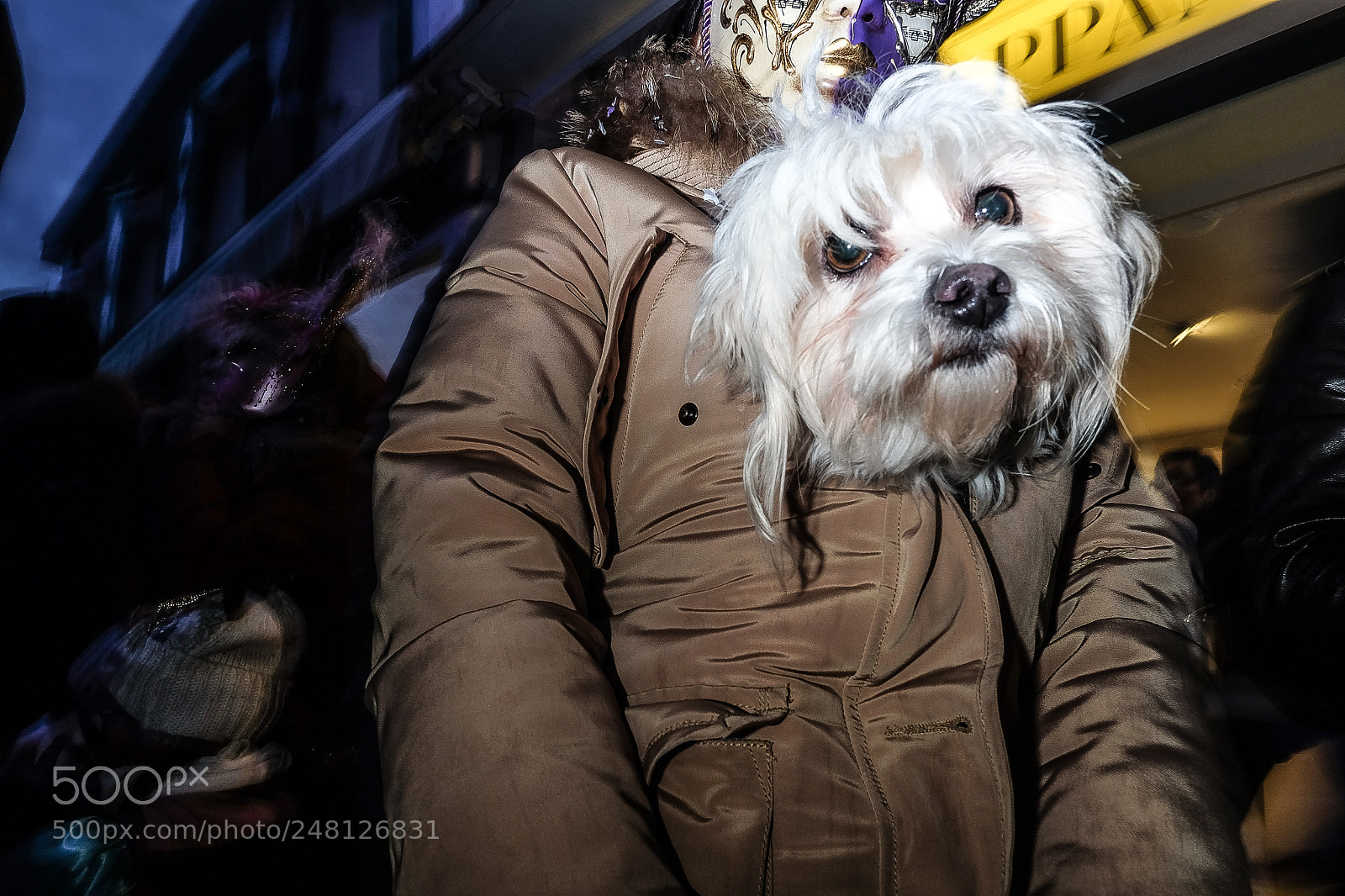 Fujifilm X-T10 sample photo. Untitled photography