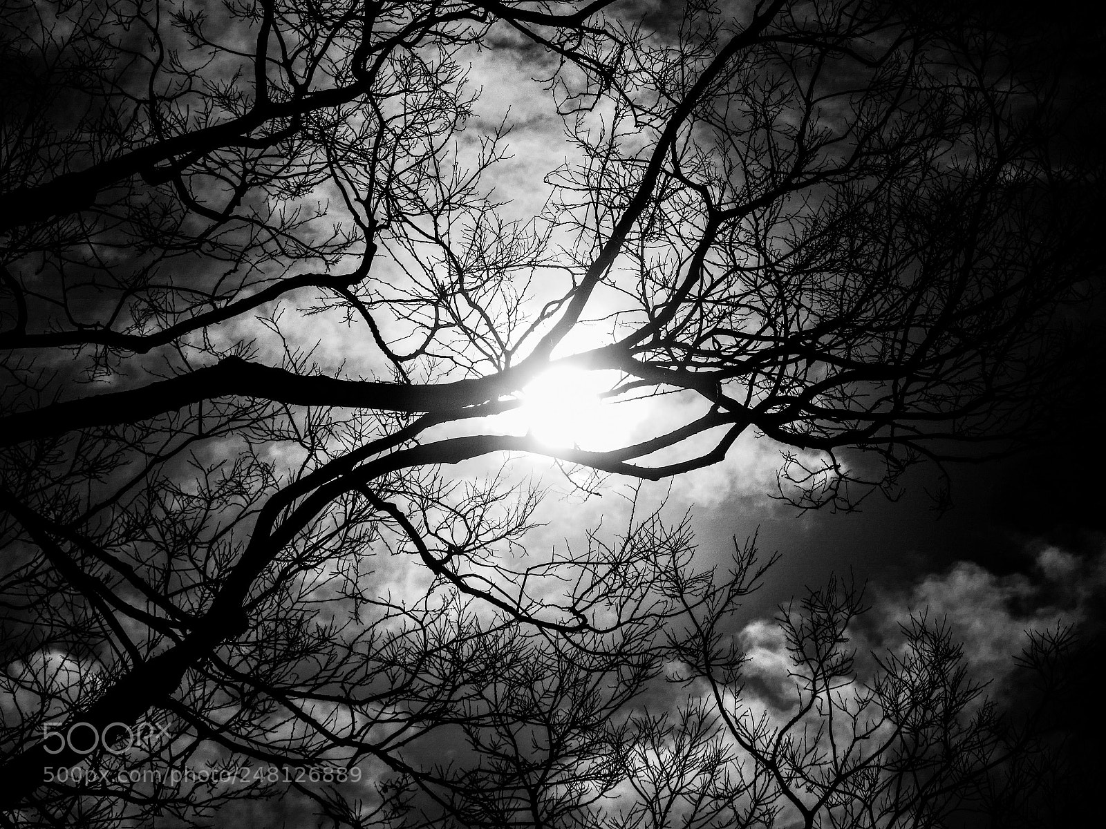 Panasonic Lumix DMC-GX8 sample photo. Shade photography