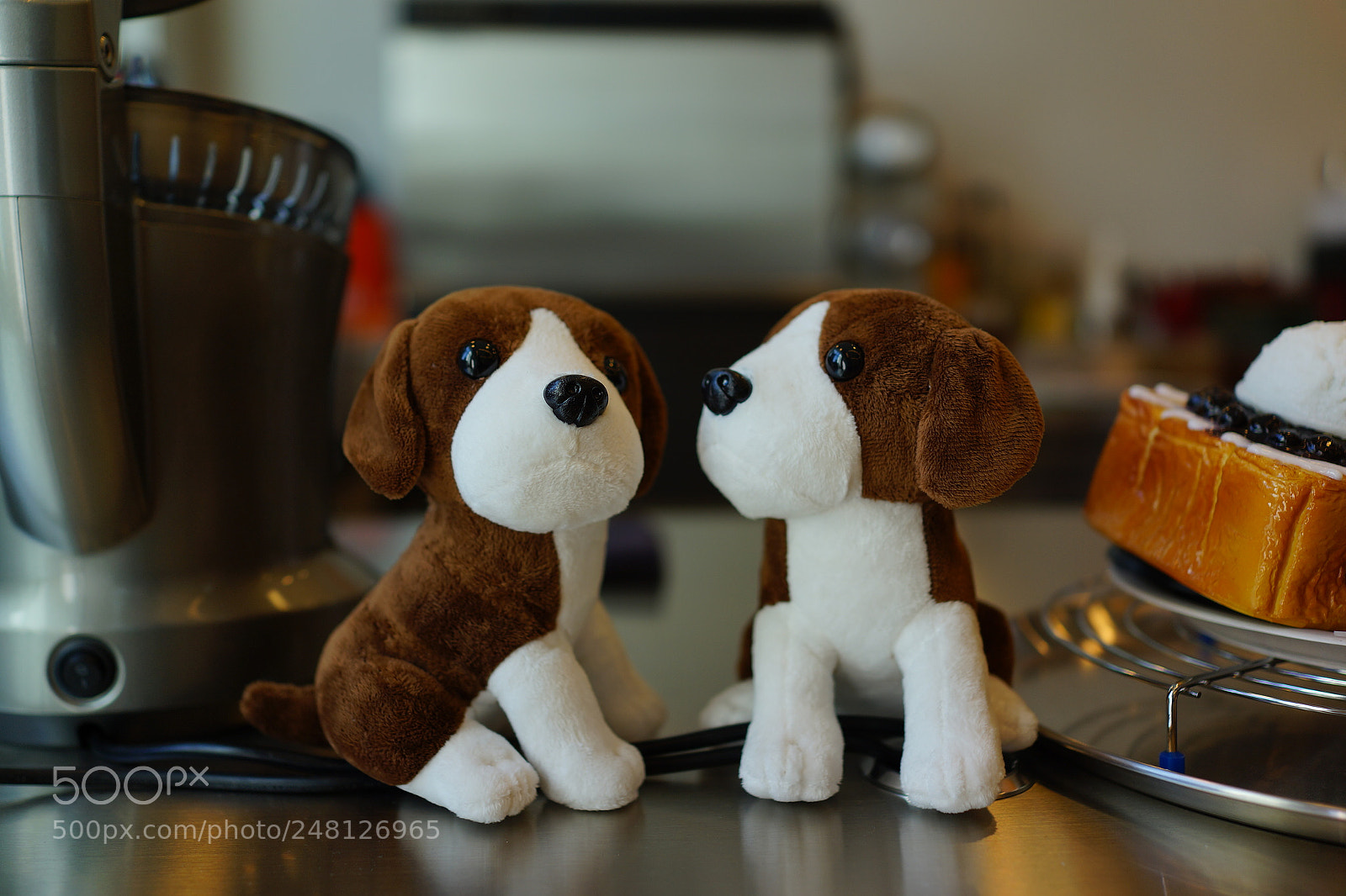 Sony Cyber-shot DSC-RX1 sample photo. Dsc photography