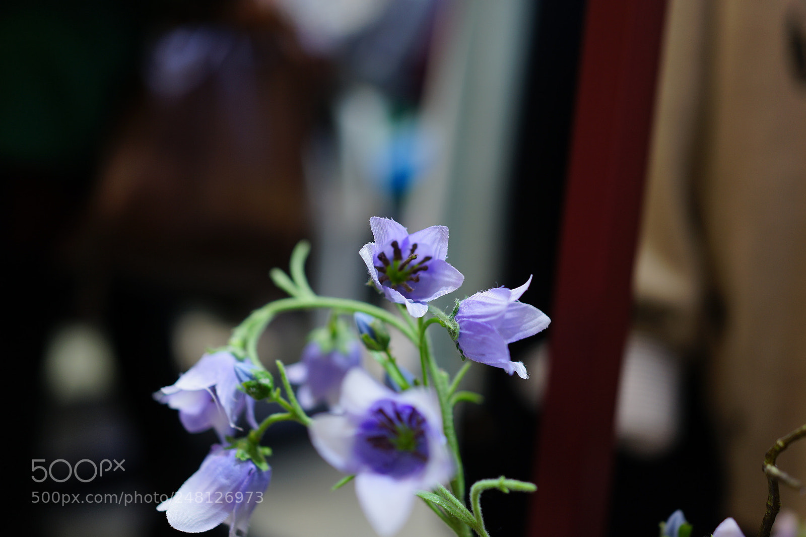 Sony Cyber-shot DSC-RX1 sample photo. Dsc photography