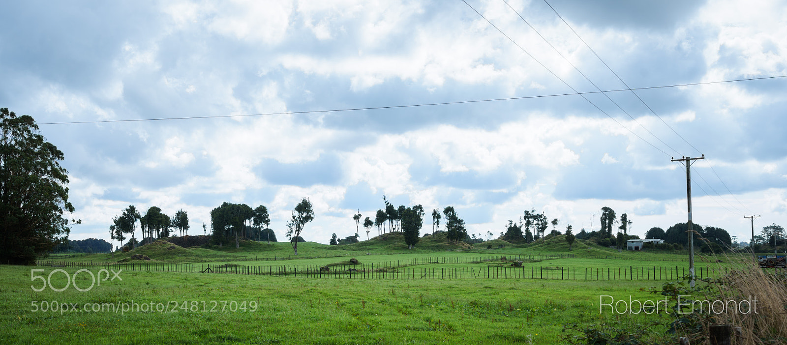 Sony a7 II sample photo. Rotorua area photography