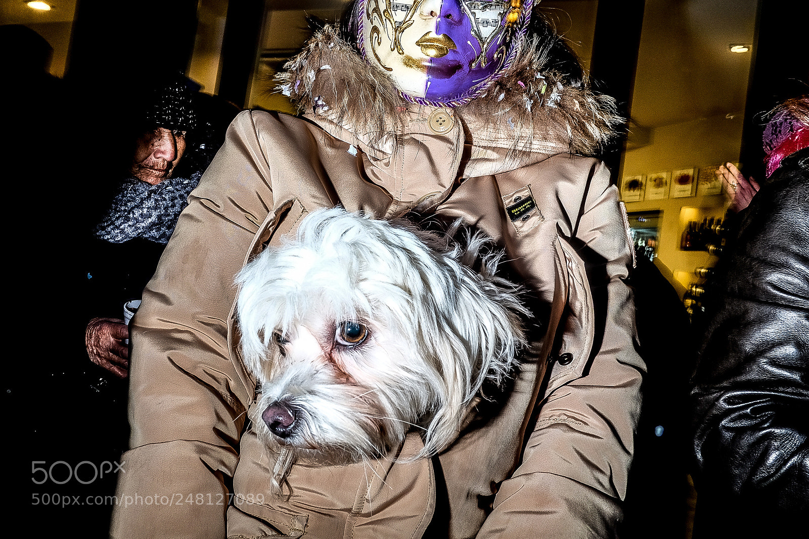 Fujifilm X-T10 sample photo. Untitled photography