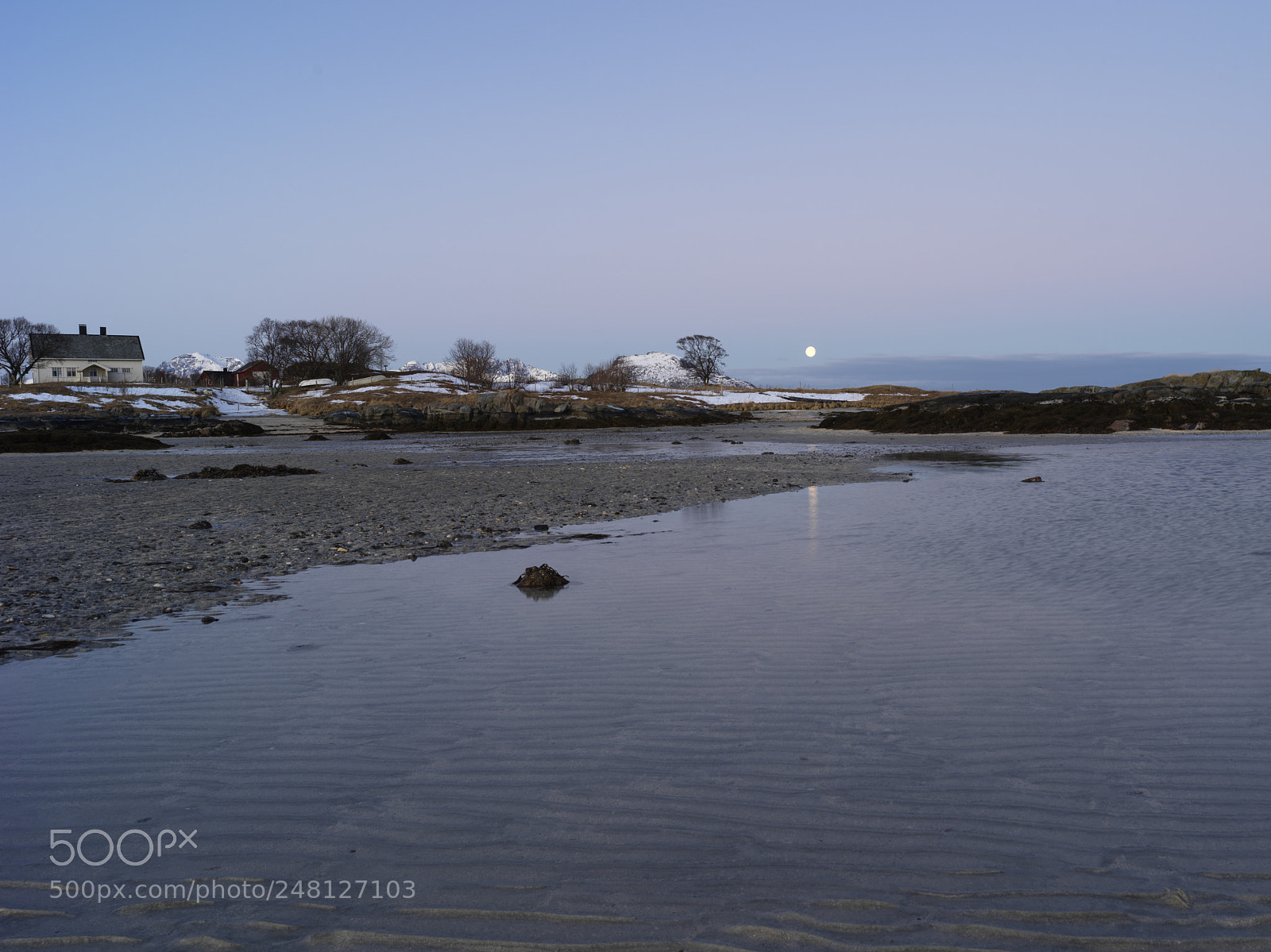 Hasselblad X1D-50c sample photo. Tne moon rises in photography