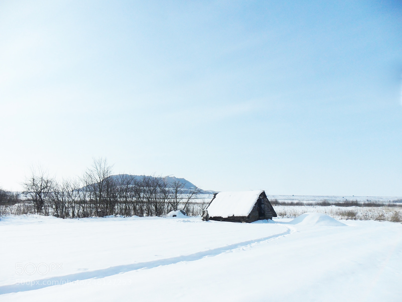 Samsung ES65, ES67 / VLUU ES65, ES67 /  SL50 sample photo. Frosty morning (maroznaja ranica) photography