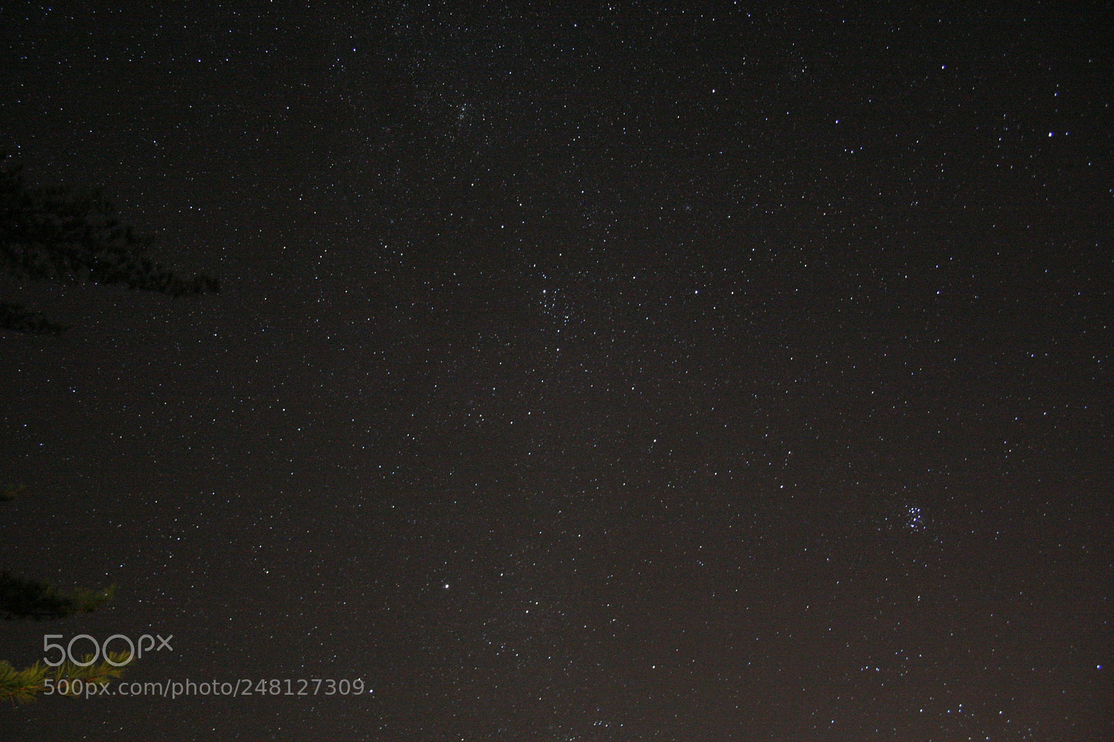 Canon EOS 350D (EOS Digital Rebel XT / EOS Kiss Digital N) sample photo. Pleiades cluster photography