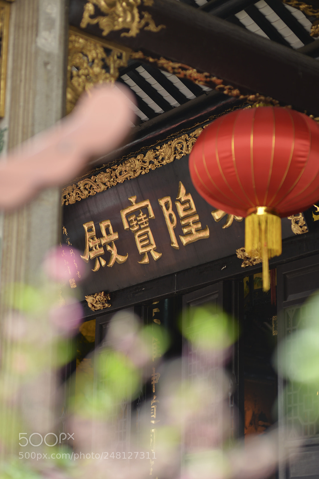 Nikon Df sample photo. Untitled photography