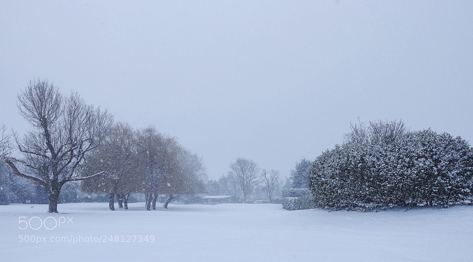 Sony Cyber-shot DSC-RX10 III sample photo. Snowy morning... photography