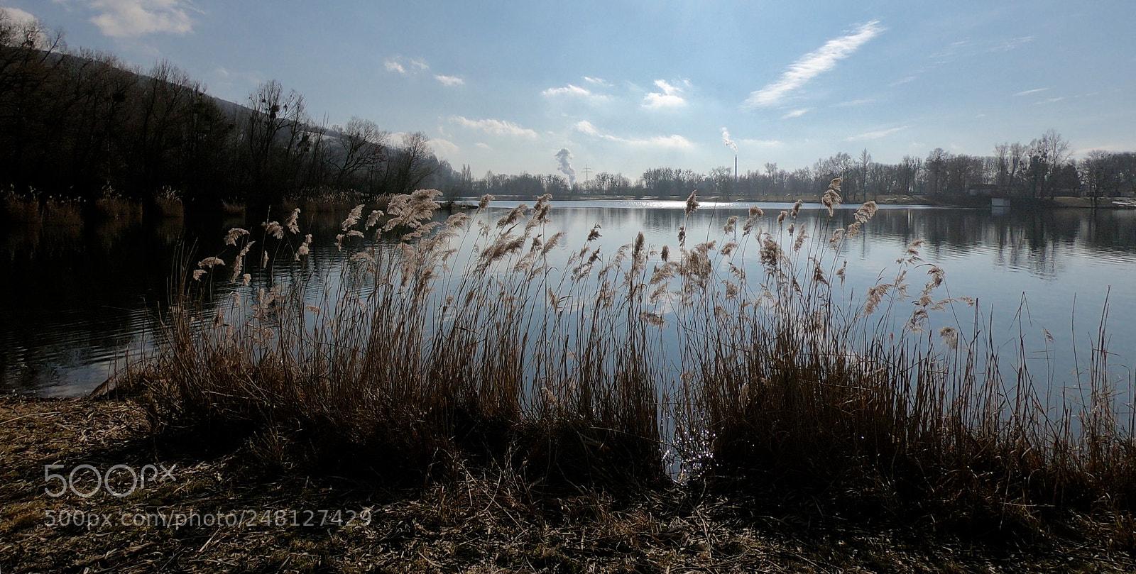 GoPro Hero6 Black sample photo. Grass photography